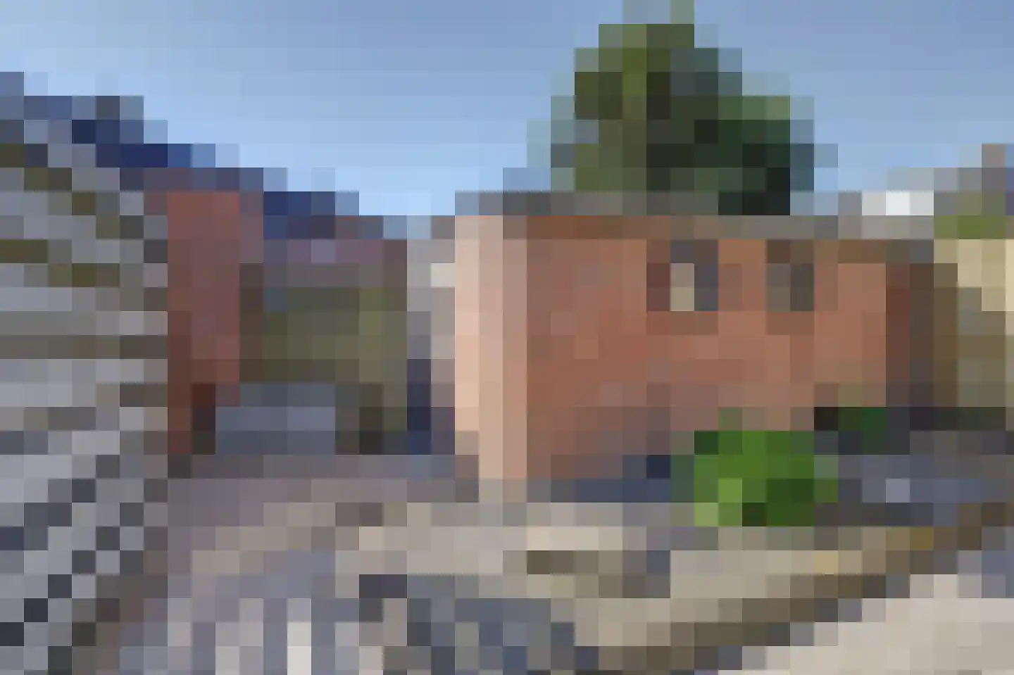 Zilvermeeuw 24 Etten-Leur thumbnail 33