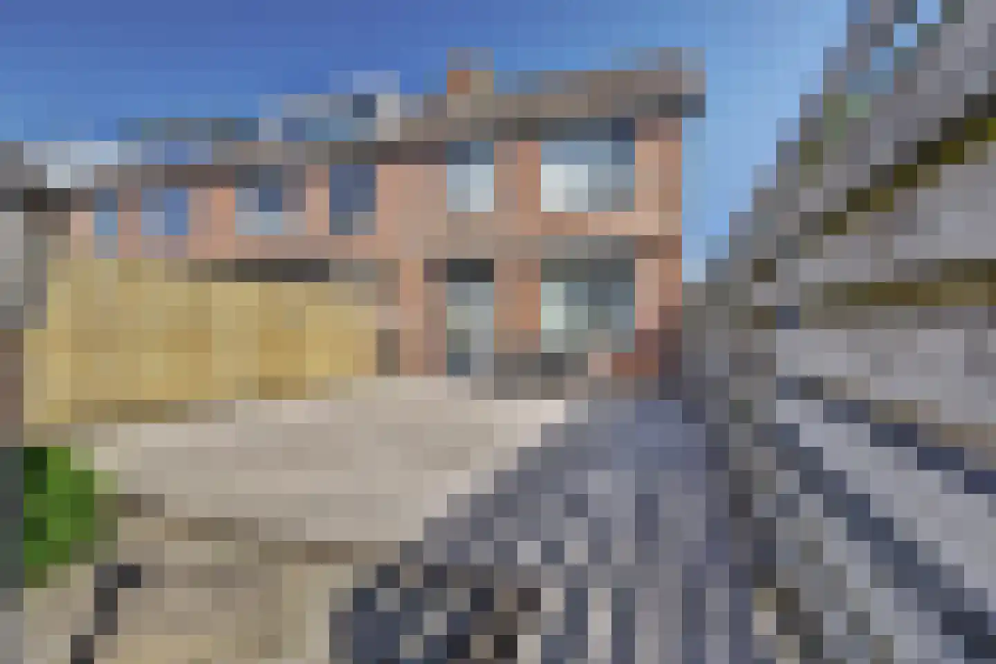 Zilvermeeuw 24 Etten-Leur thumbnail 4
