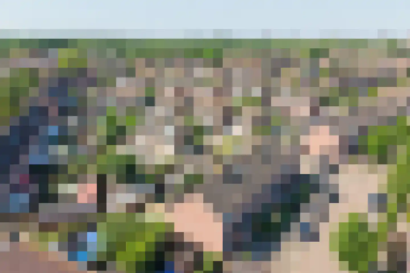 Zilvermeeuw 24 Etten-Leur thumbnail 41