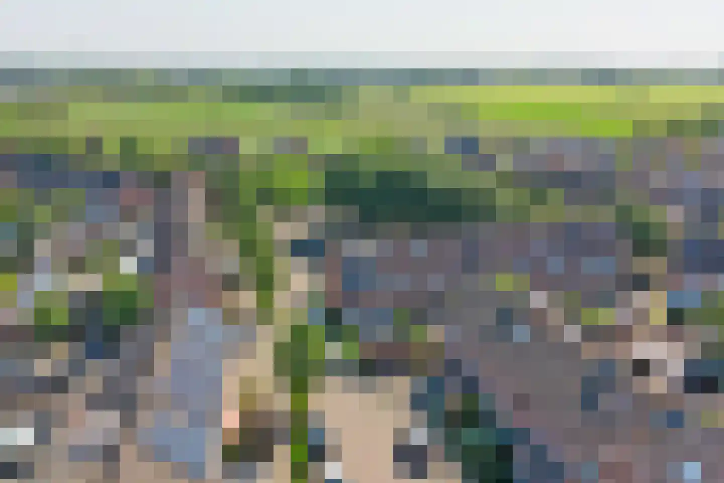 Zilvermeeuw 24 Etten-Leur thumbnail 42