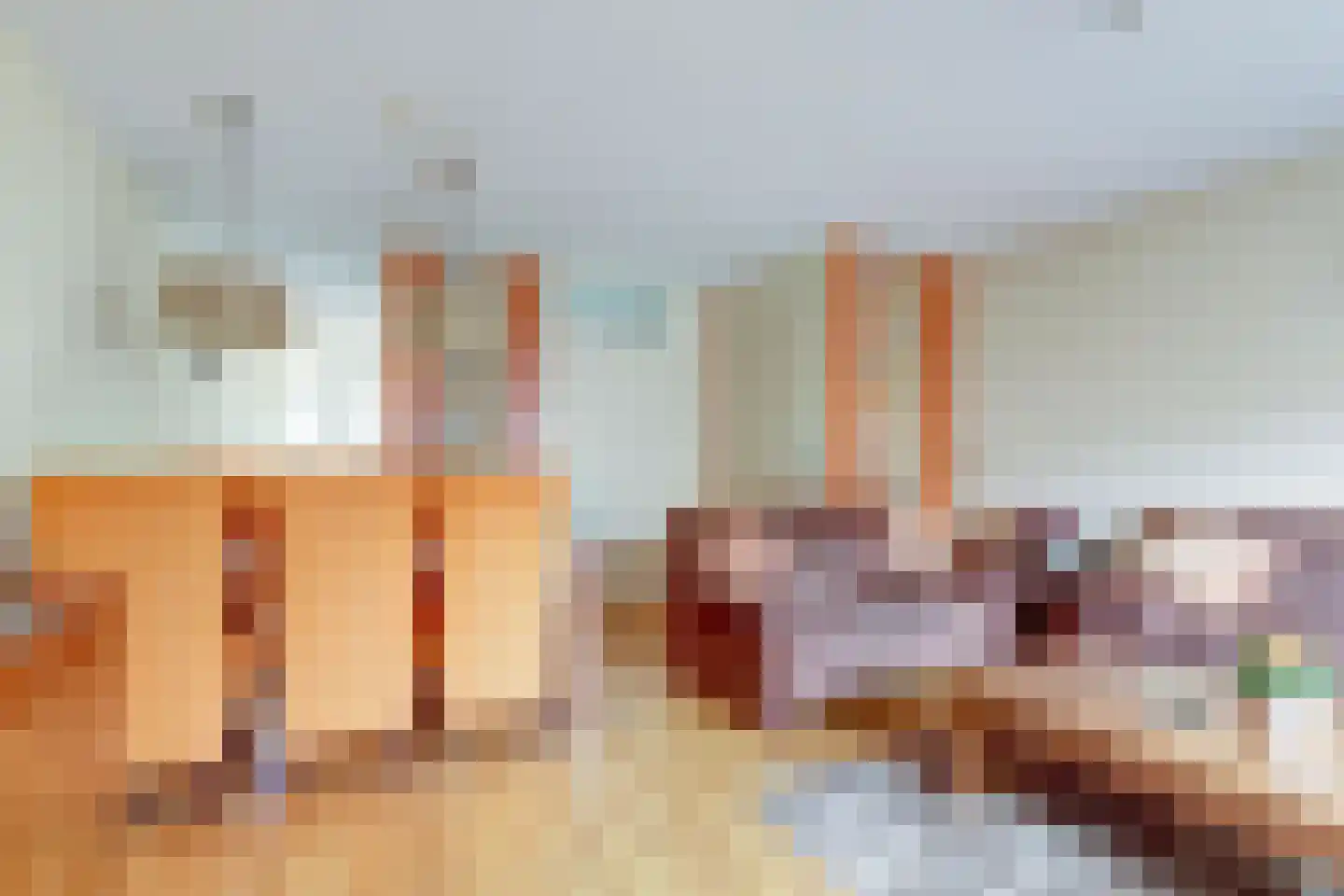 Zilvermeeuw 29 De Lier thumbnail 11