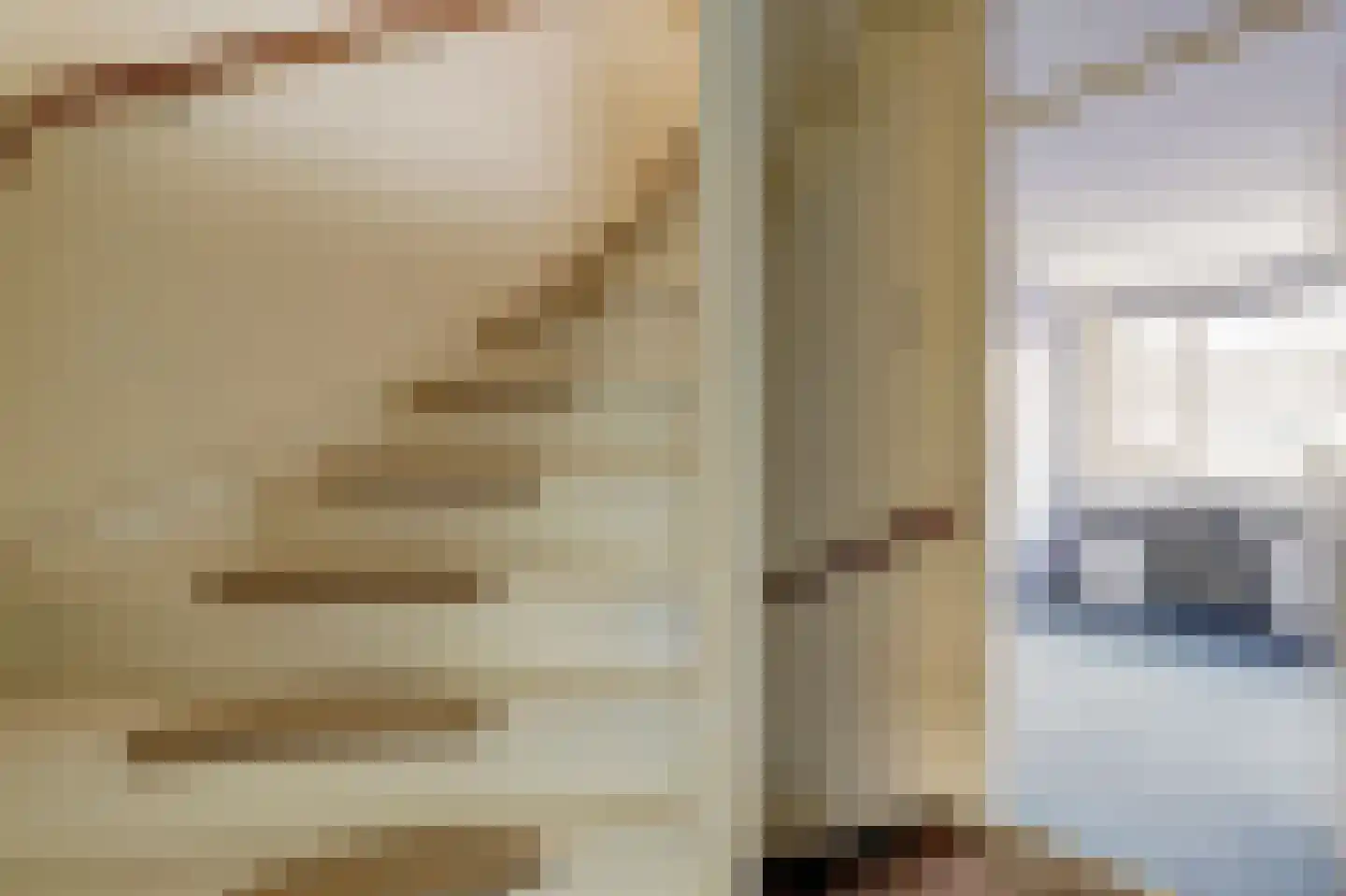 Zilvermeeuw 29 De Lier thumbnail 12