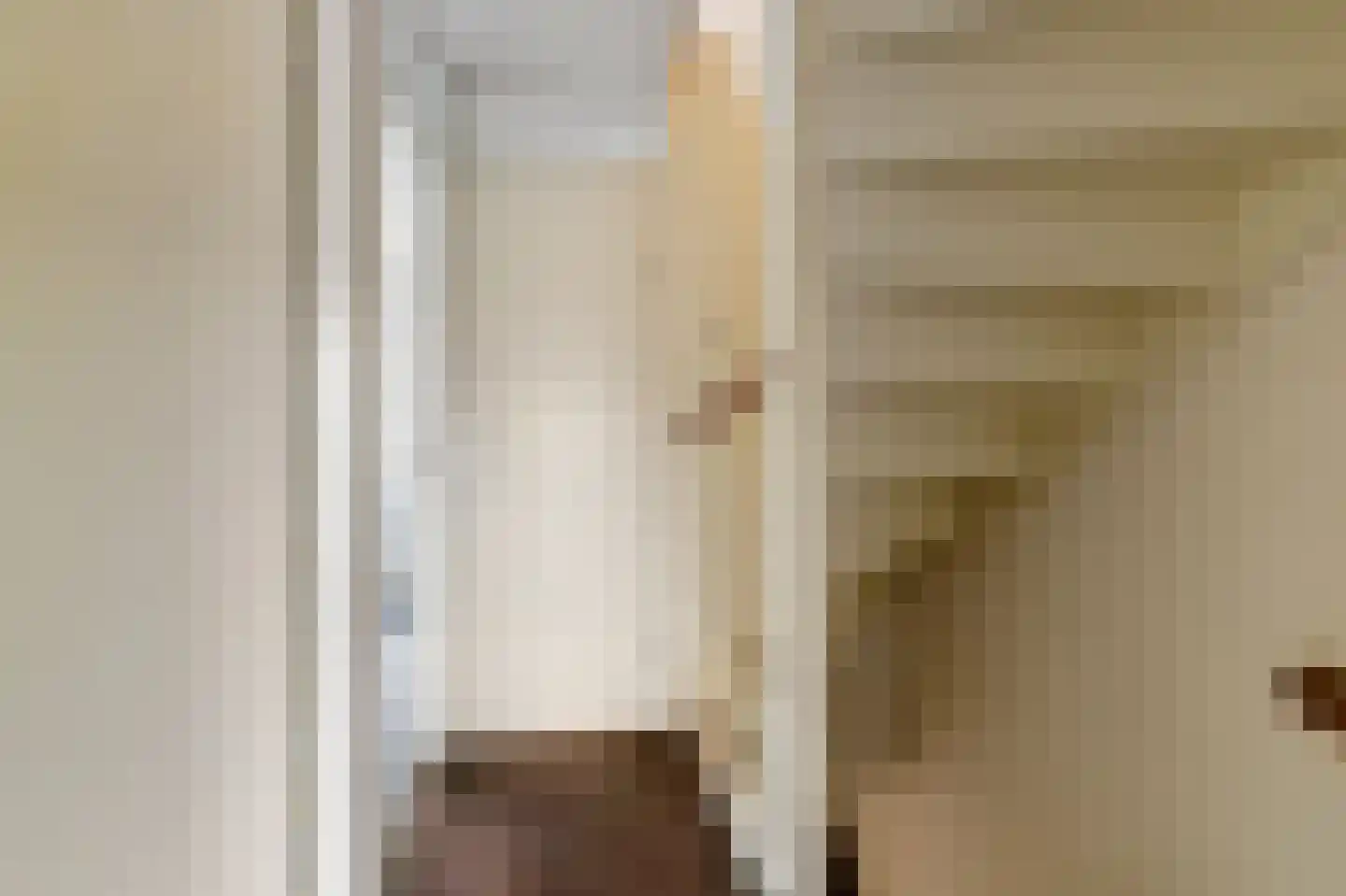 Zilvermeeuw 29 De Lier thumbnail 13