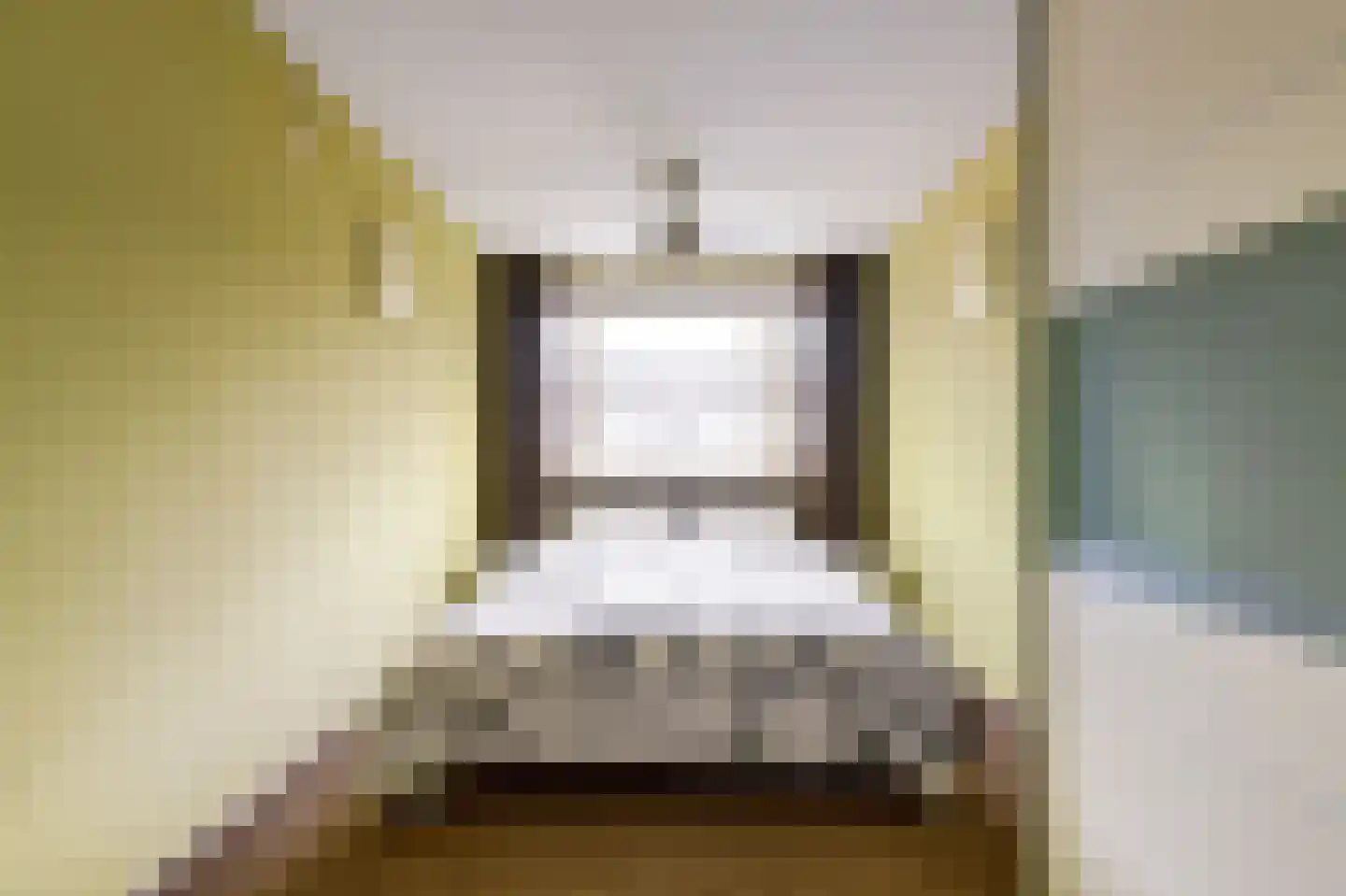 Zilvermeeuw 29 De Lier thumbnail 14