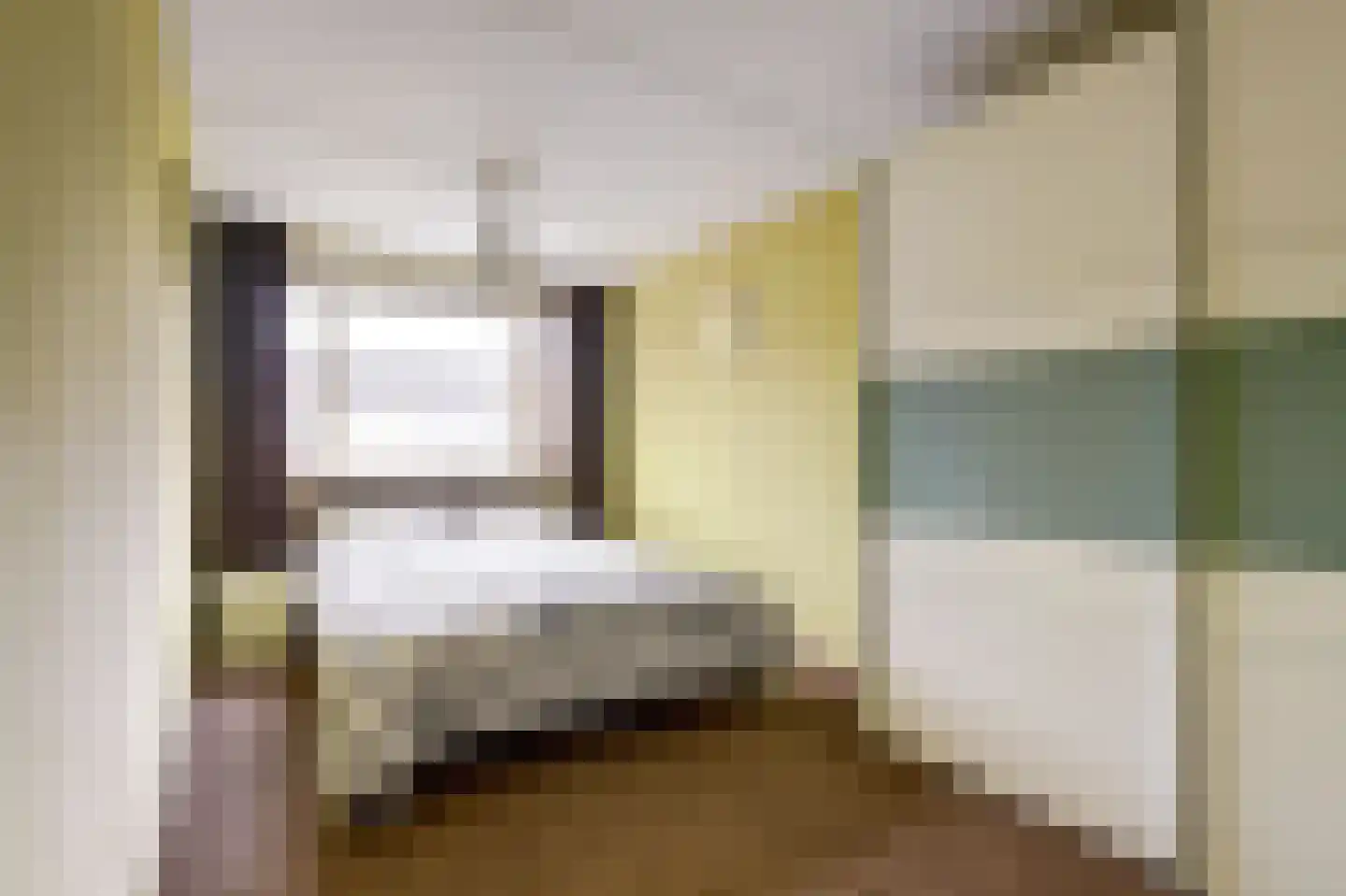 Zilvermeeuw 29 De Lier thumbnail 15