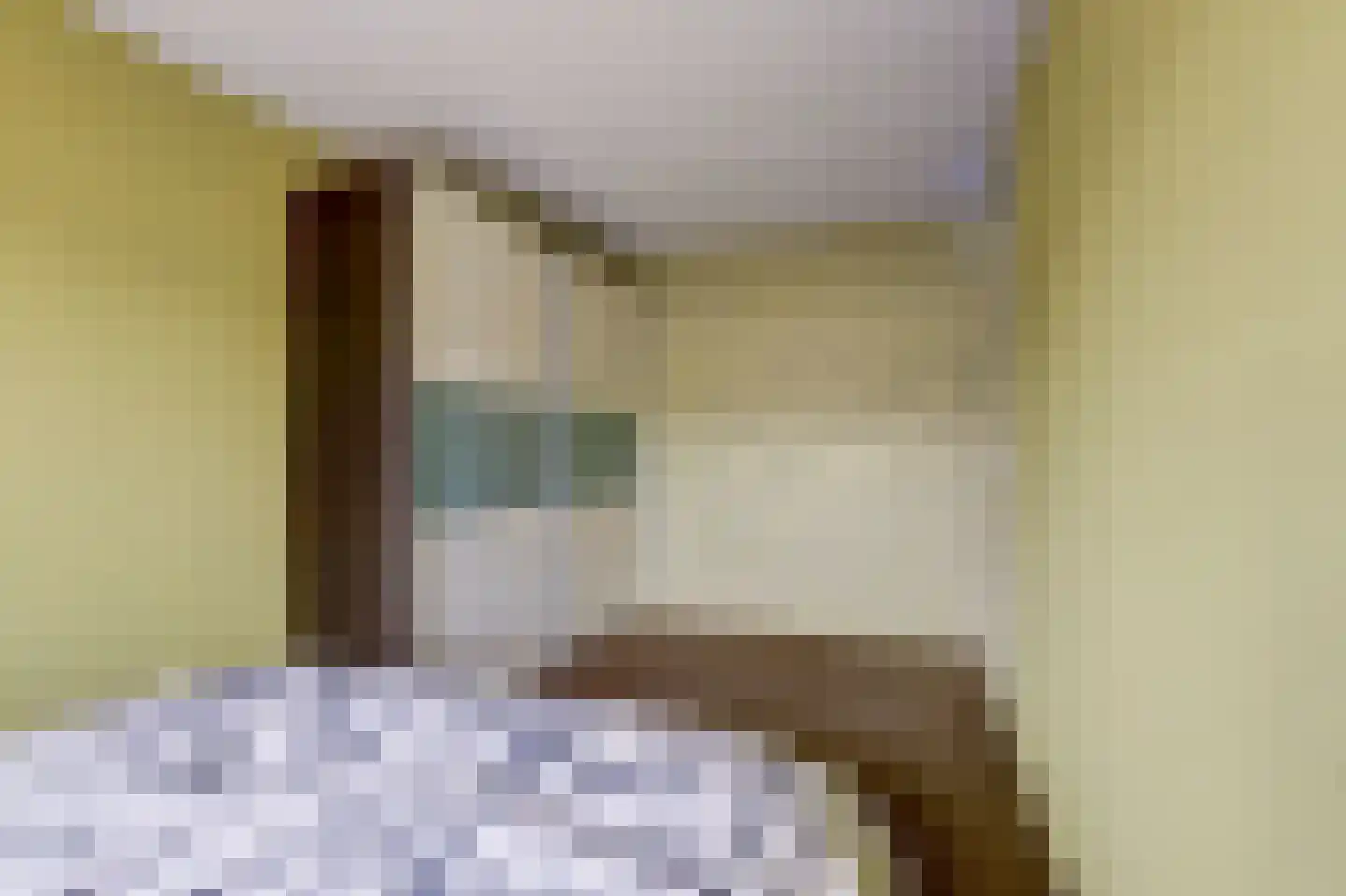 Zilvermeeuw 29 De Lier thumbnail 16
