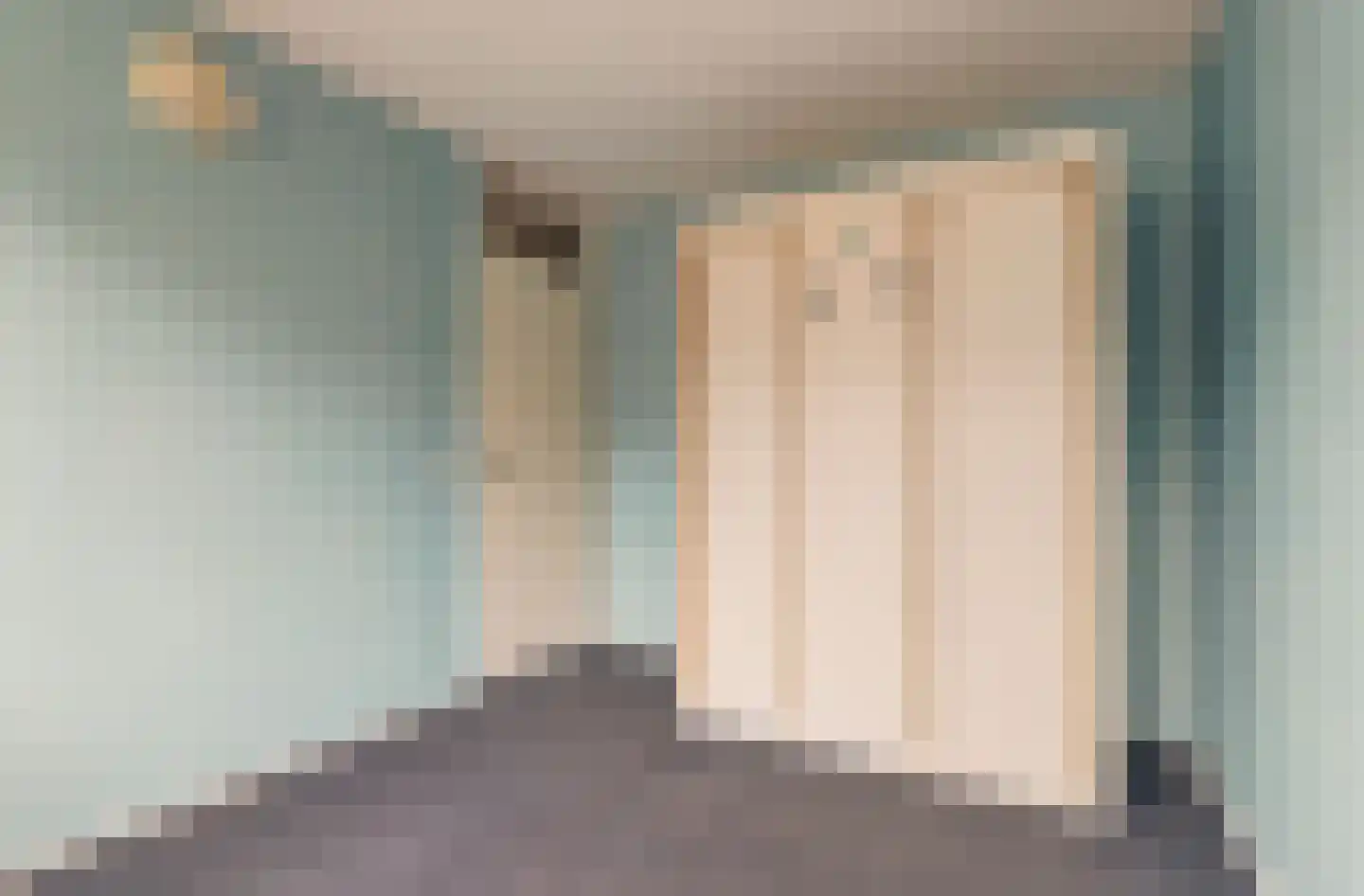 Zilvermeeuw 29 De Lier thumbnail 20