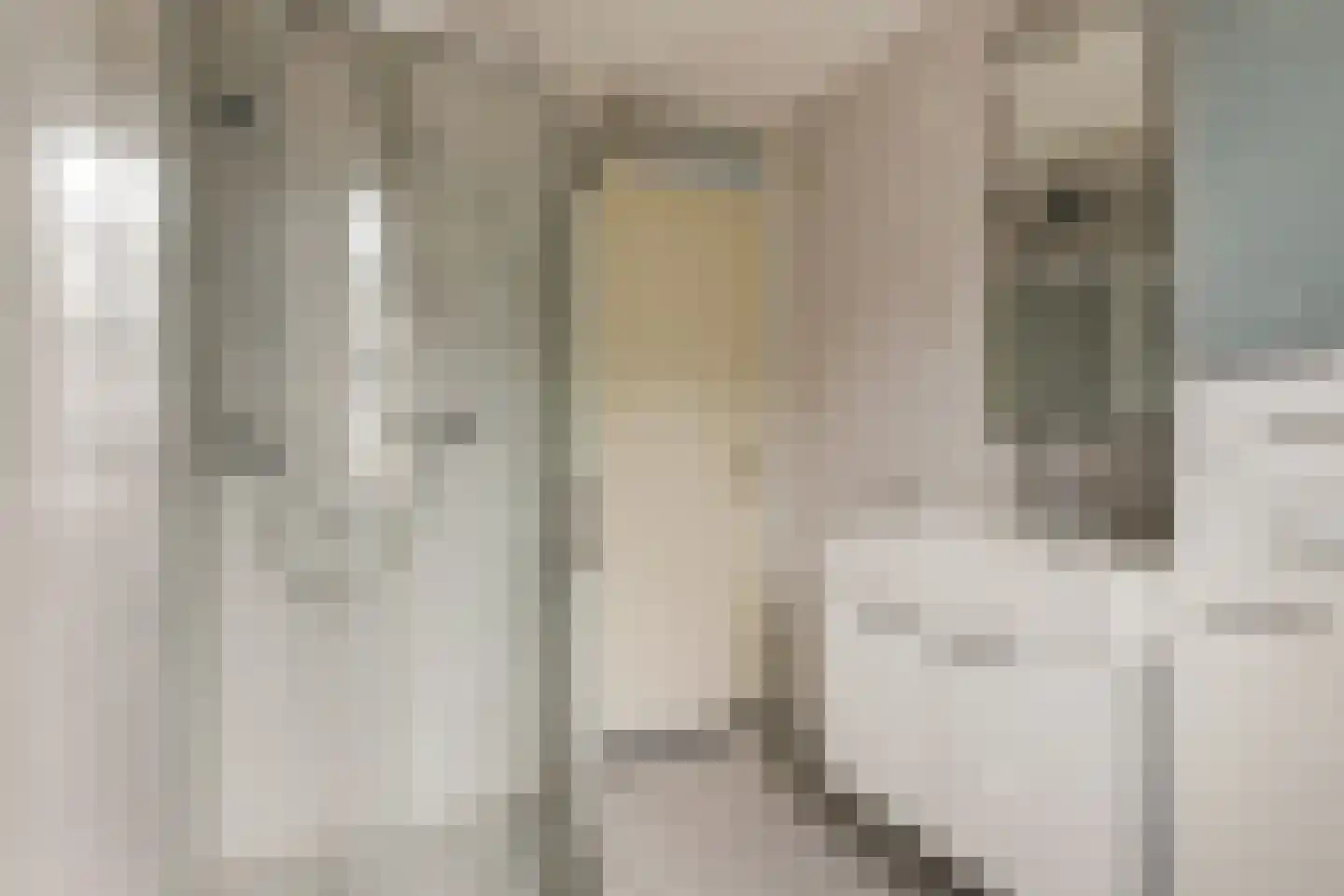 Zilvermeeuw 29 De Lier thumbnail 21