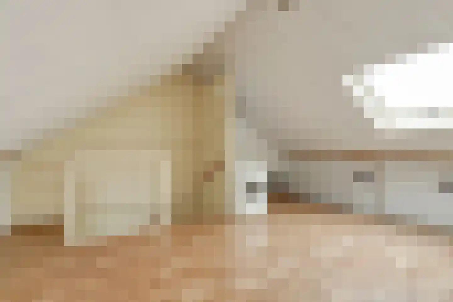 Zilvermeeuw 29 De Lier thumbnail 22