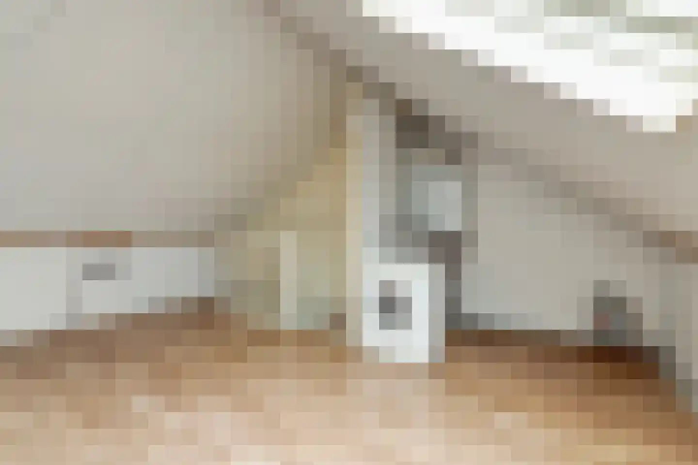 Zilvermeeuw 29 De Lier thumbnail 23
