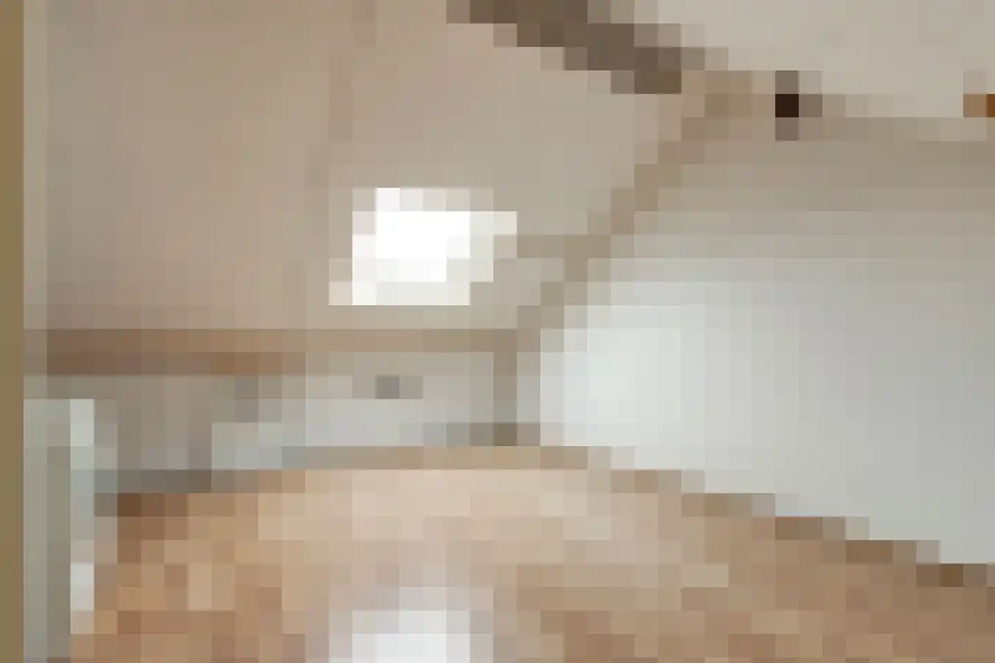 Zilvermeeuw 29 De Lier thumbnail 24