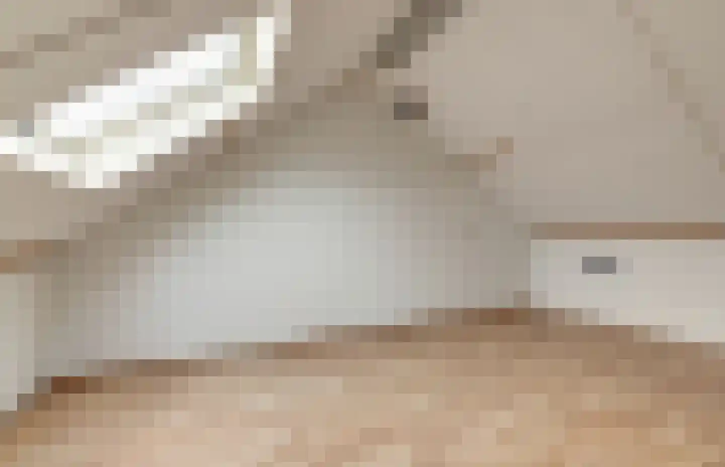 Zilvermeeuw 29 De Lier thumbnail 25