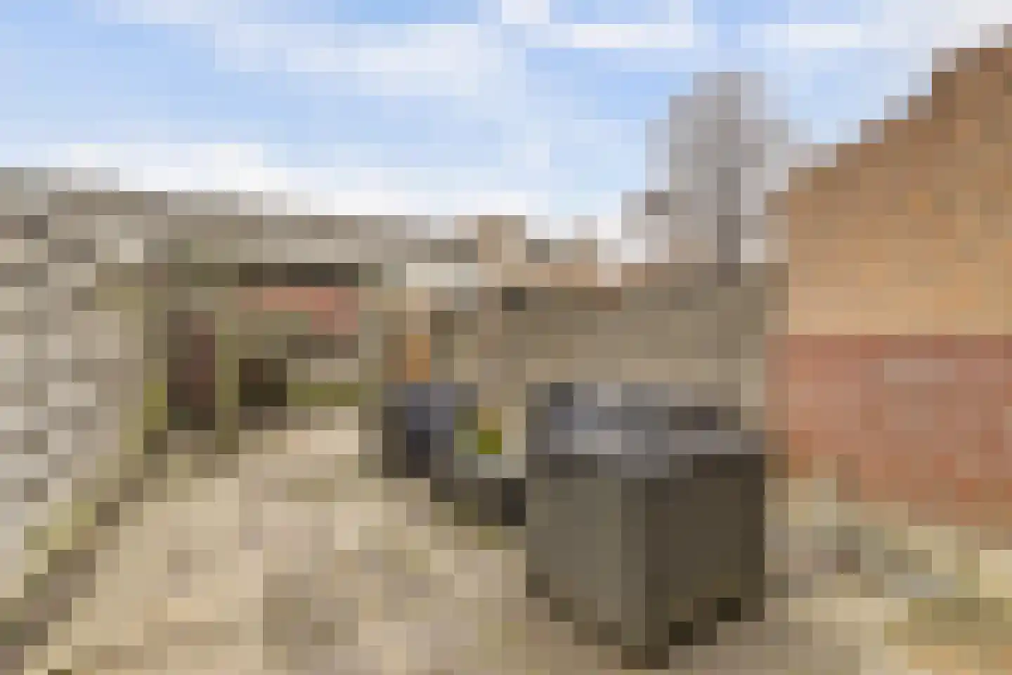 Zilvermeeuw 29 De Lier thumbnail 26