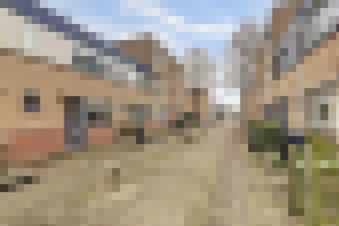 Zilvermeeuw 29 De Lier thumbnail 28