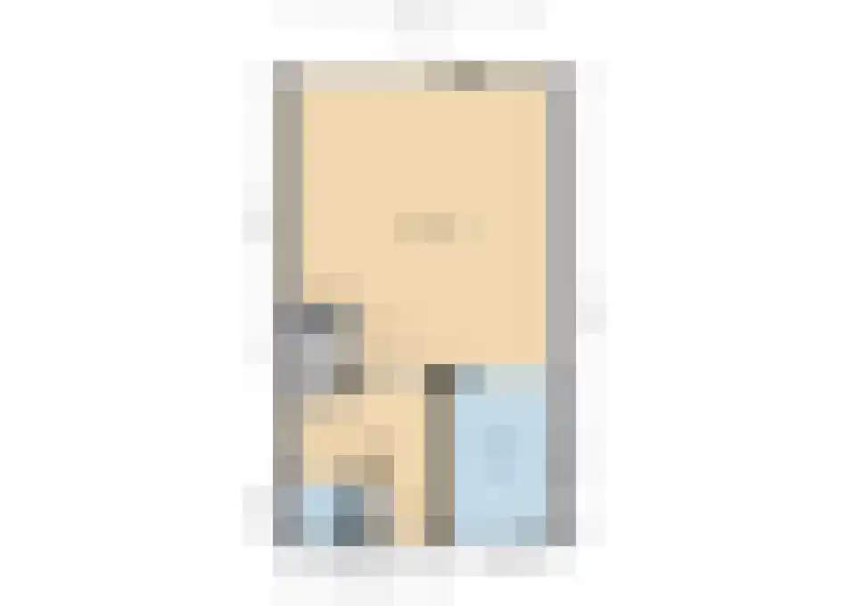 Zilvermeeuw 29 De Lier thumbnail 30
