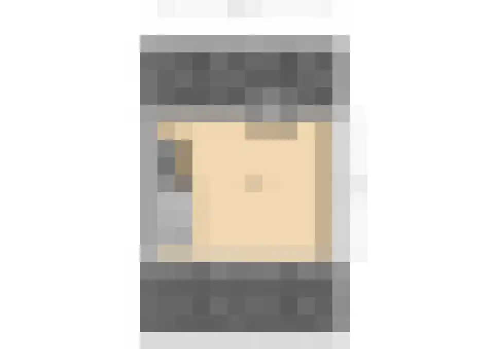 Zilvermeeuw 29 De Lier thumbnail 32