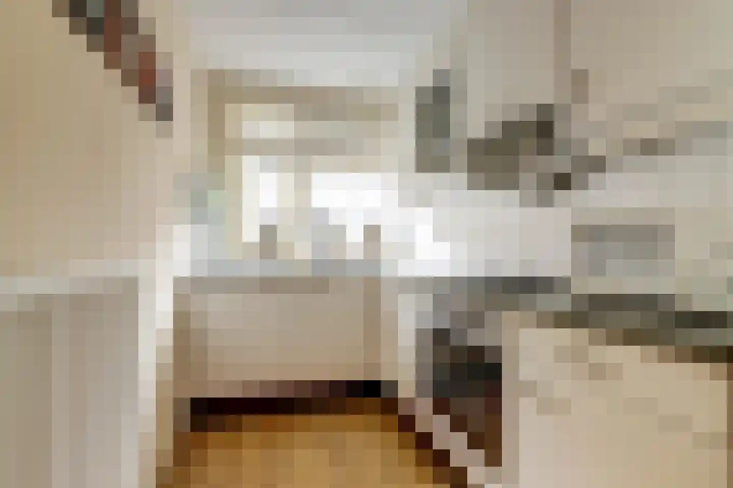 Zilvermeeuw 29 De Lier thumbnail 4
