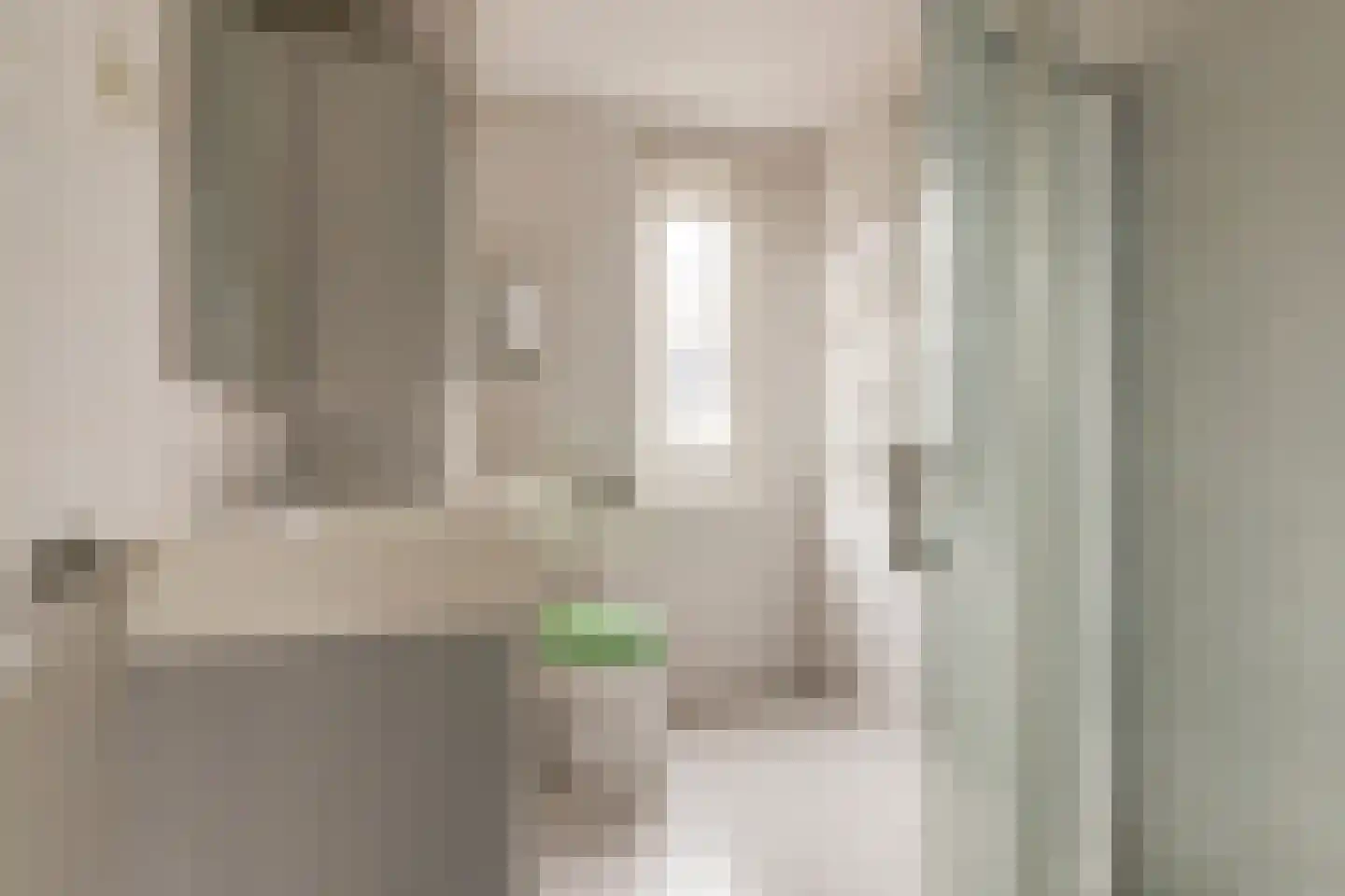 Zilvermeeuw 29 De Lier thumbnail 5