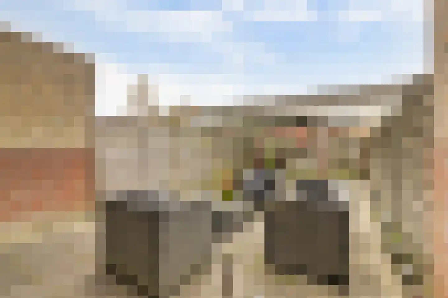 Zilvermeeuw 29 De Lier thumbnail 6