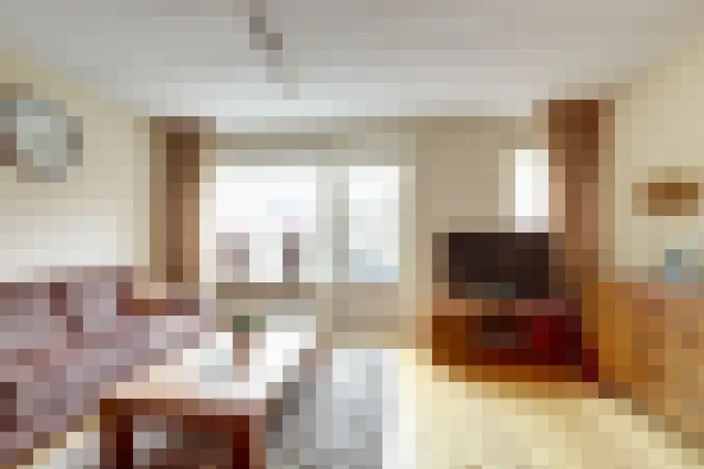 Zilvermeeuw 29 De Lier thumbnail 7