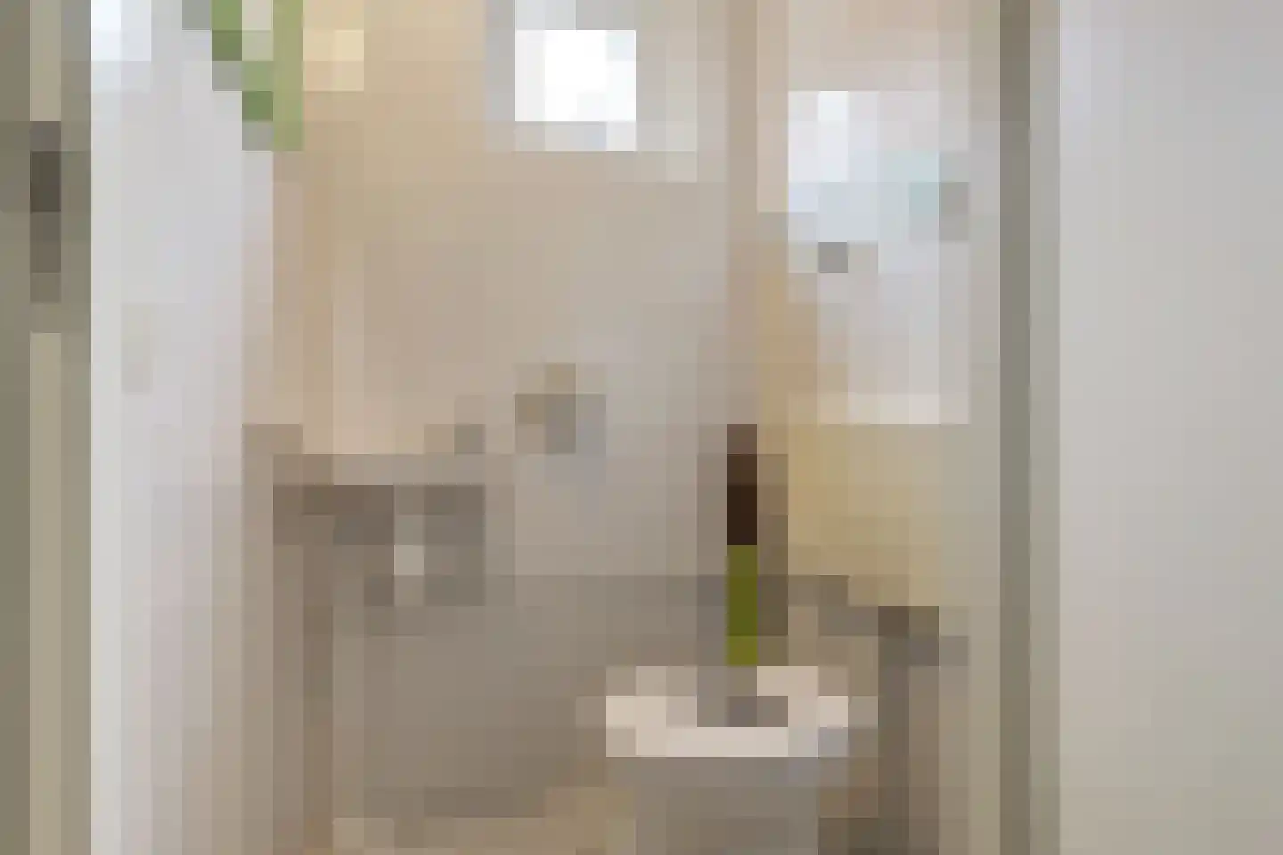 Zilvermeeuw 29 De Lier thumbnail 8