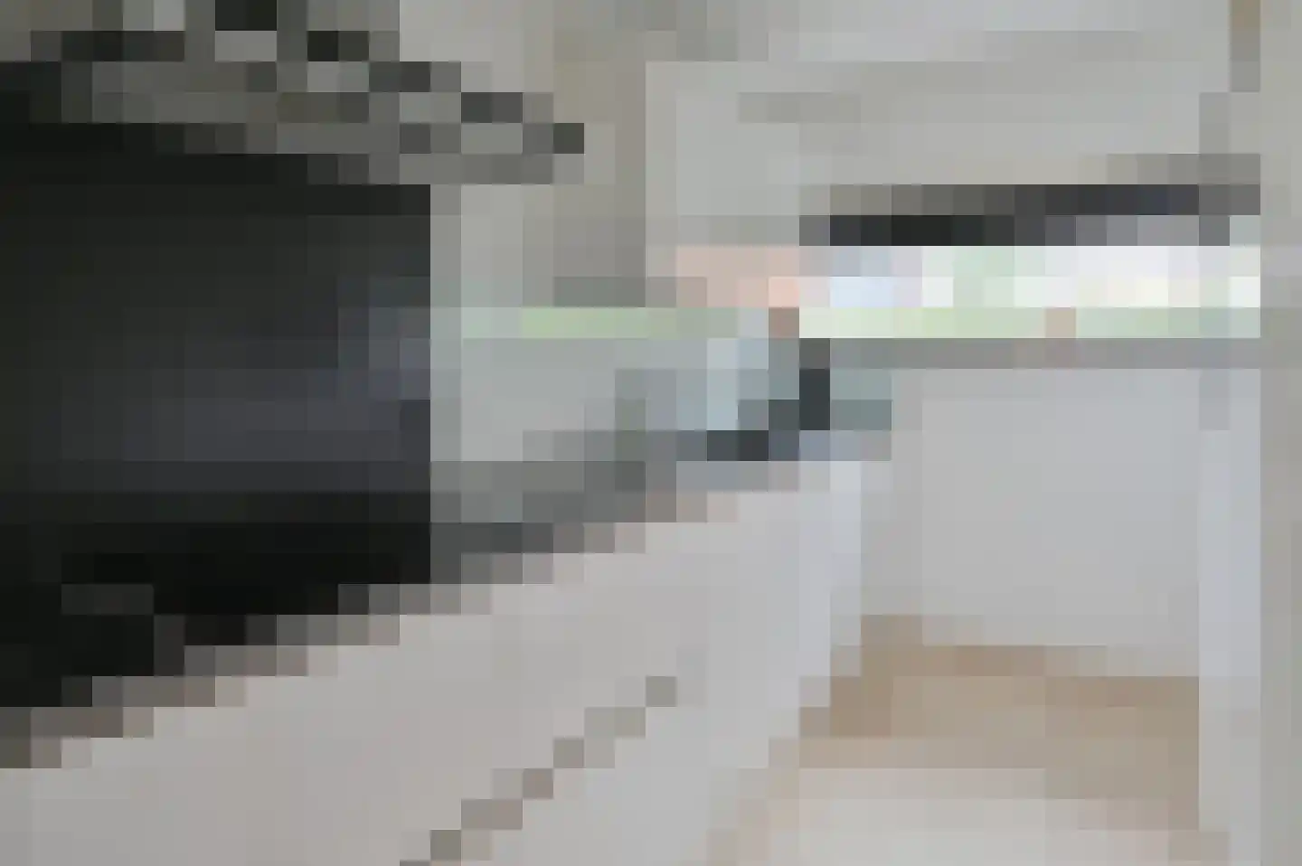 Zilvermeeuw 3 Ouderkerk aan de Amstel thumbnail 10