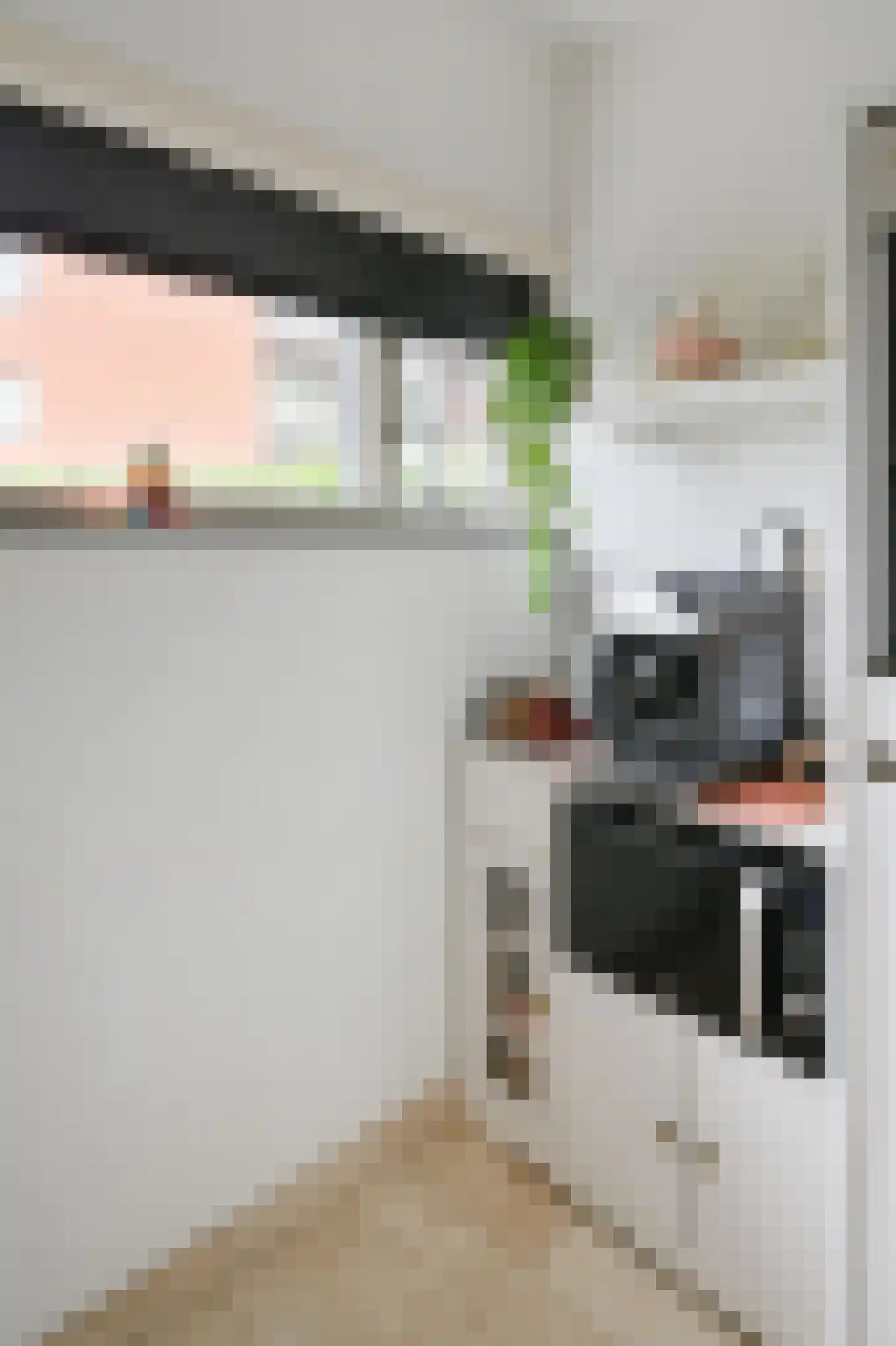 Zilvermeeuw 3 Ouderkerk aan de Amstel thumbnail 11