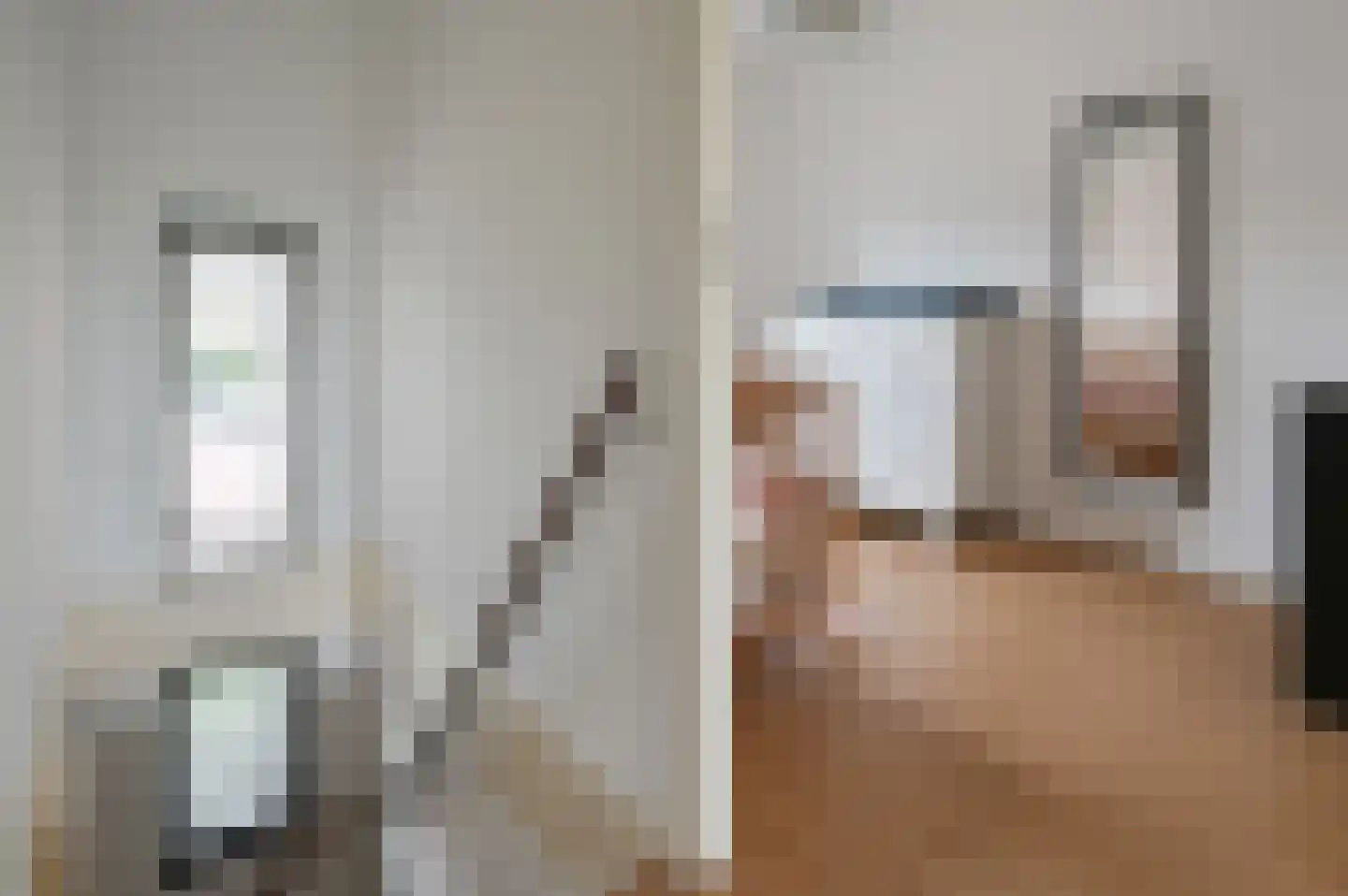 Zilvermeeuw 3 Ouderkerk aan de Amstel thumbnail 12