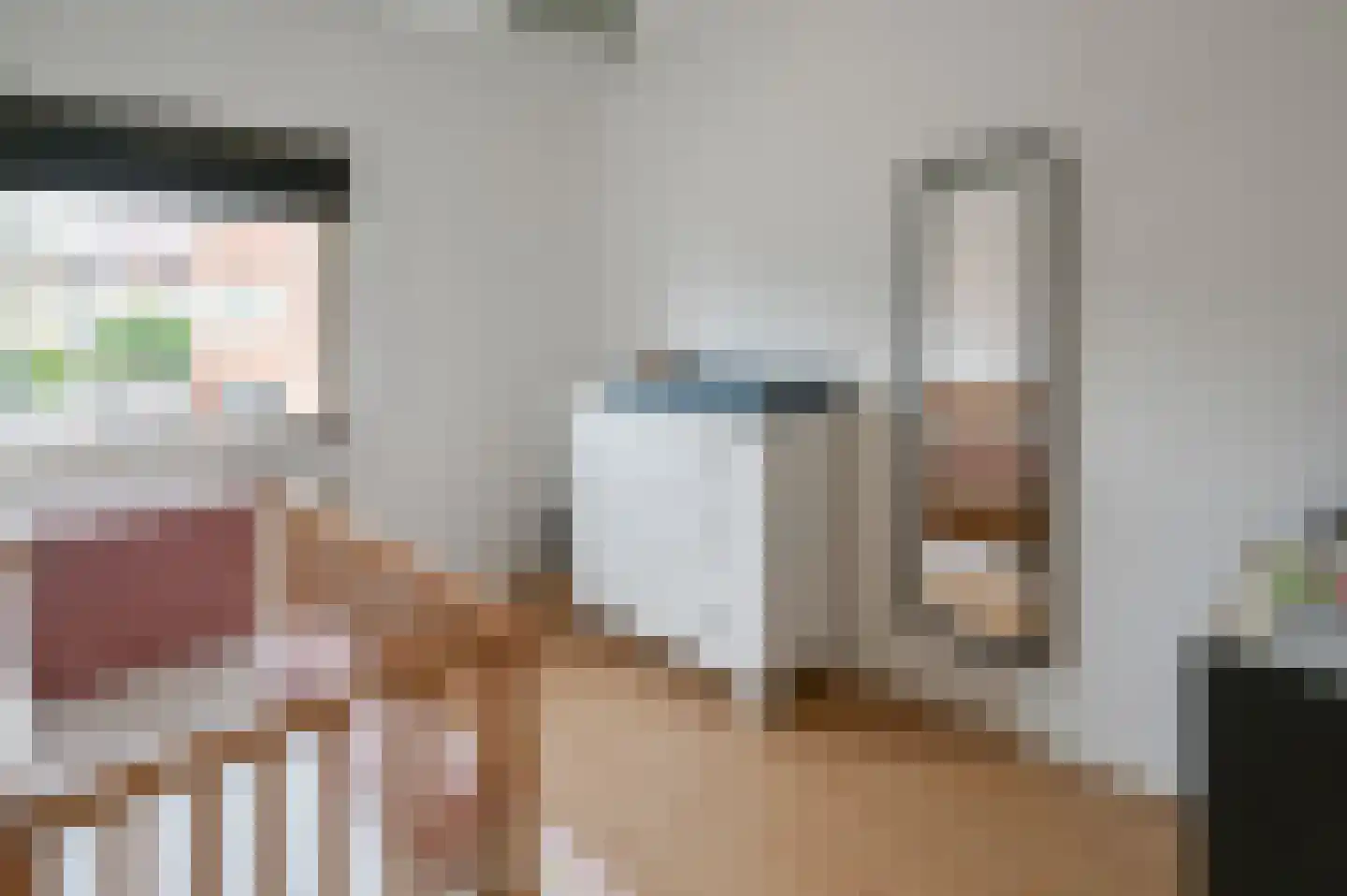 Zilvermeeuw 3 Ouderkerk aan de Amstel thumbnail 13