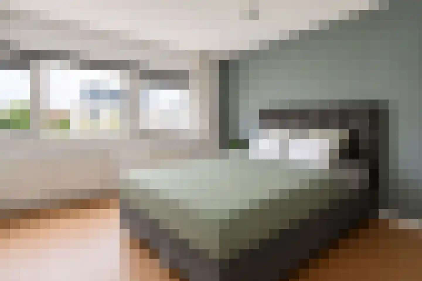 Zilvermeeuw 3 Ouderkerk aan de Amstel thumbnail 14