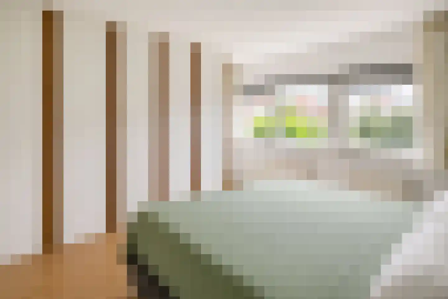 Zilvermeeuw 3 Ouderkerk aan de Amstel thumbnail 15