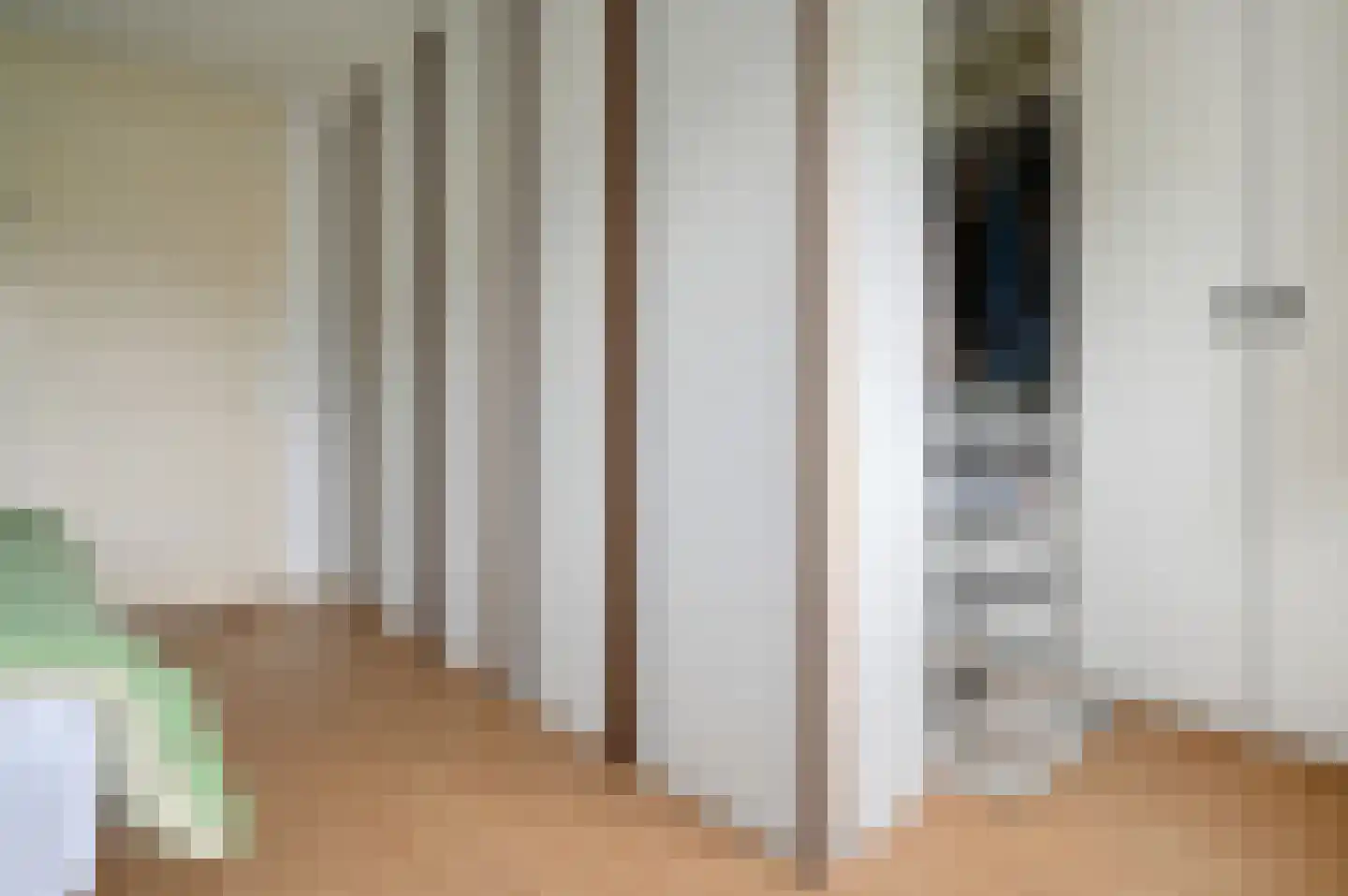 Zilvermeeuw 3 Ouderkerk aan de Amstel thumbnail 16