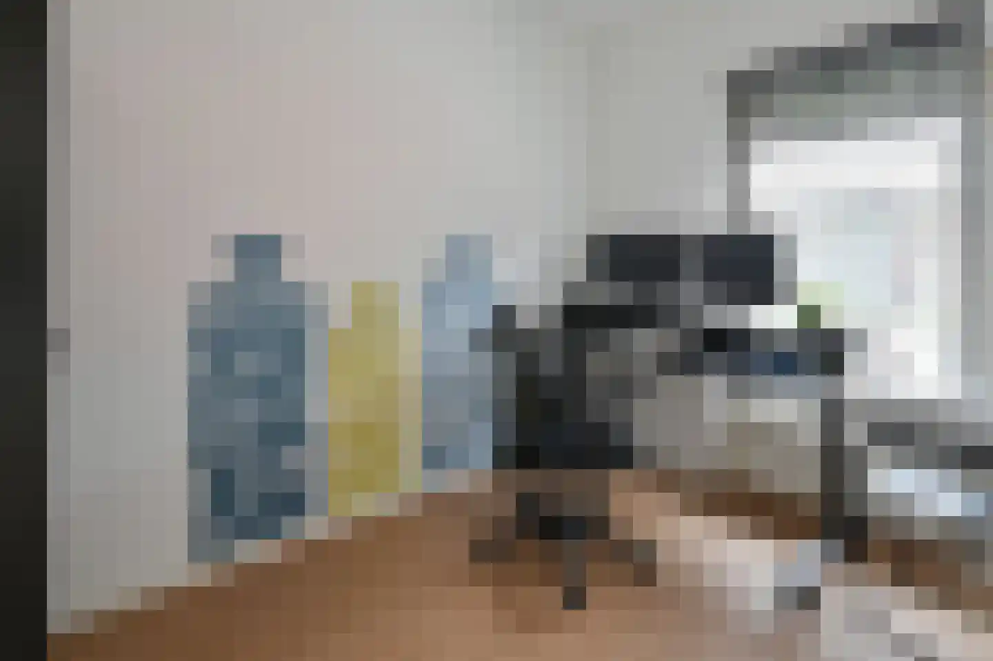 Zilvermeeuw 3 Ouderkerk aan de Amstel thumbnail 18