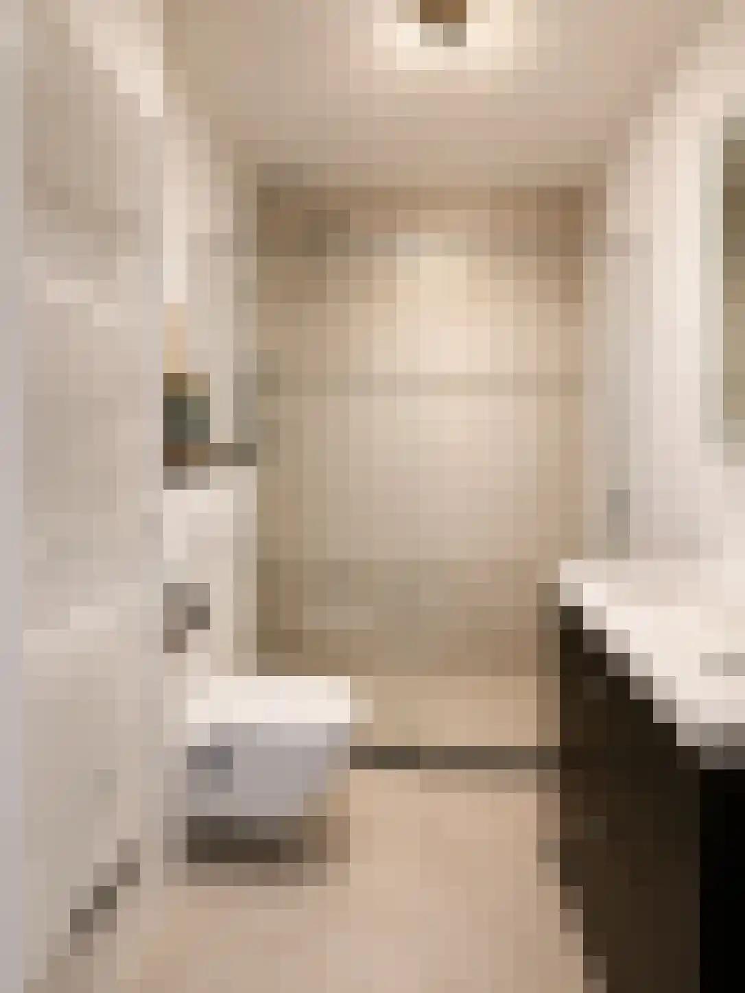 Zilvermeeuw 3 Ouderkerk aan de Amstel thumbnail 19