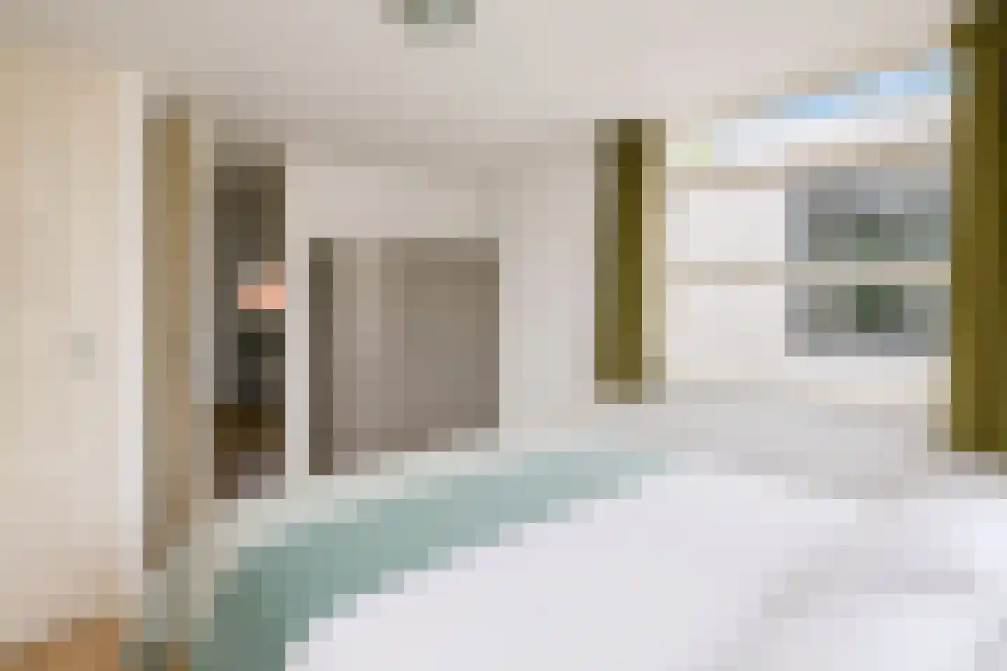 Zilvermeeuw 3 Ouderkerk aan de Amstel thumbnail 24