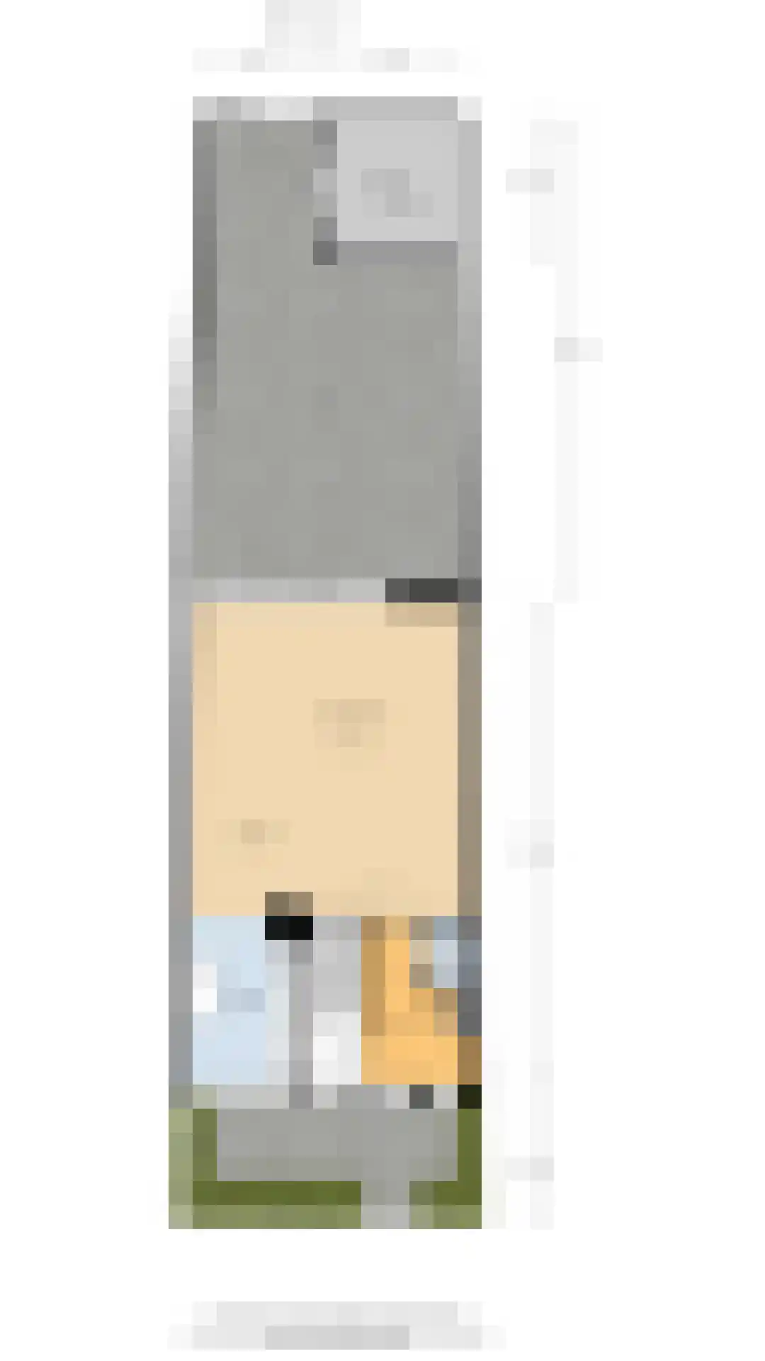 Zilvermeeuw 3 Ouderkerk aan de Amstel thumbnail 30