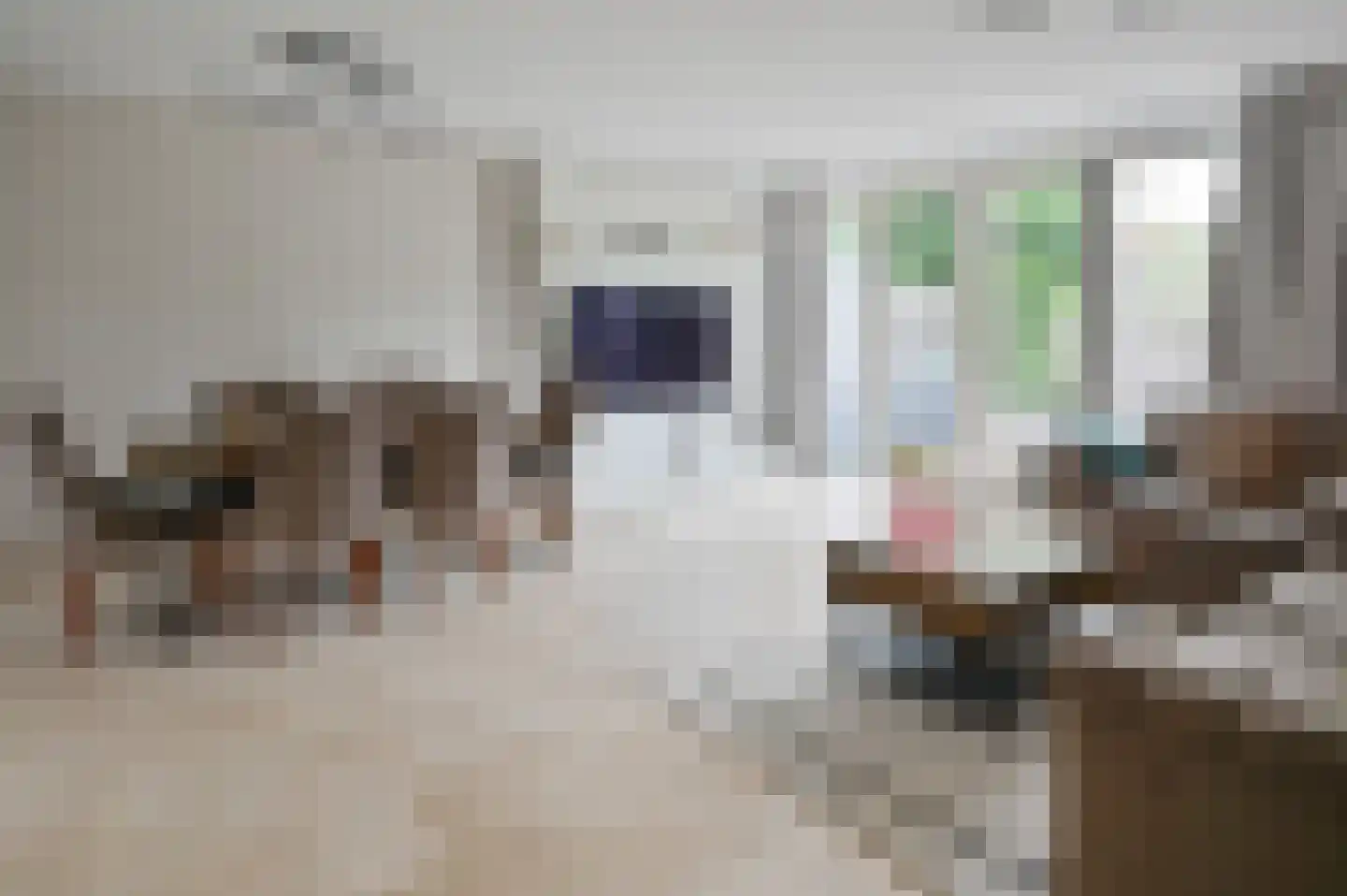 Zilvermeeuw 3 Ouderkerk aan de Amstel thumbnail 4