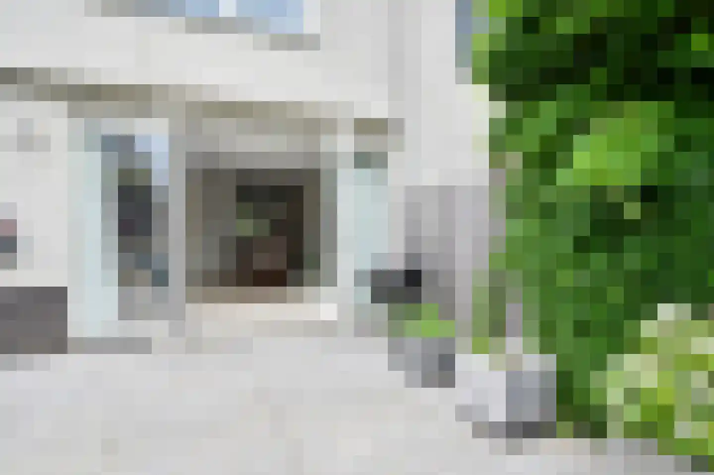 Zilvermeeuw 3 Ouderkerk aan de Amstel thumbnail 5