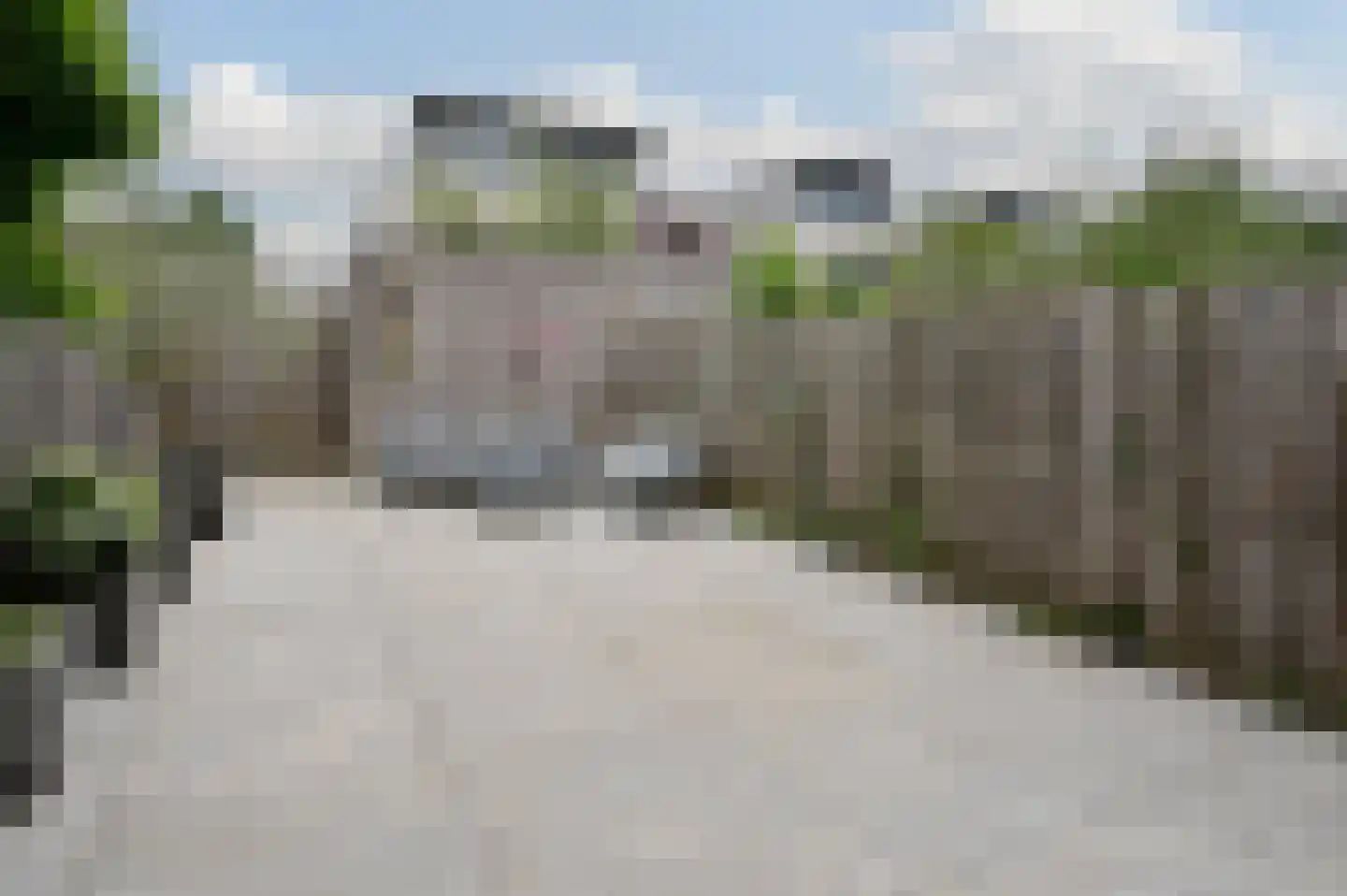 Zilvermeeuw 3 Ouderkerk aan de Amstel thumbnail 6