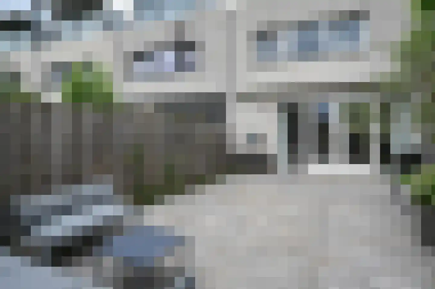 Zilvermeeuw 3 Ouderkerk aan de Amstel thumbnail 7
