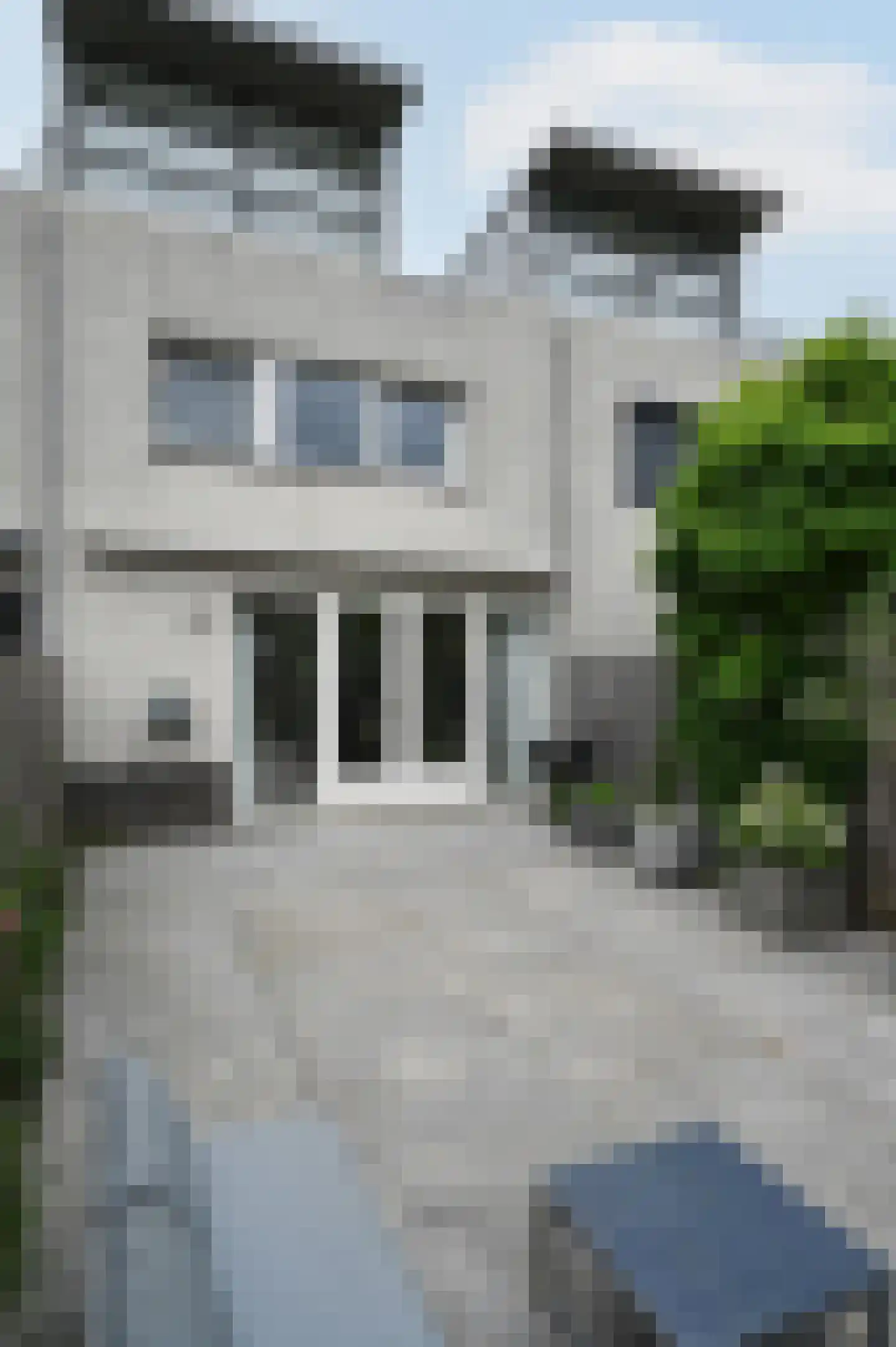 Zilvermeeuw 3 Ouderkerk aan de Amstel thumbnail 8