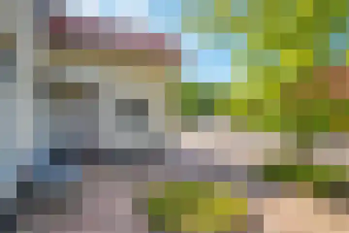 Zilvermeeuw 31 Lathum thumbnail 10