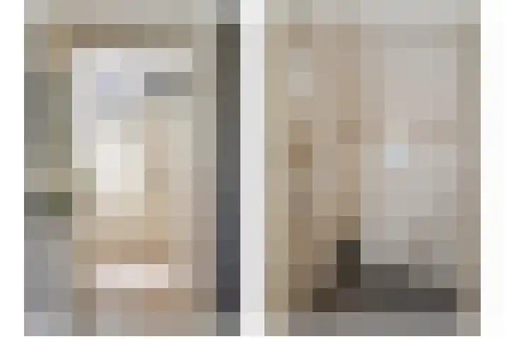 Zilvermeeuw 31 Lathum thumbnail 12