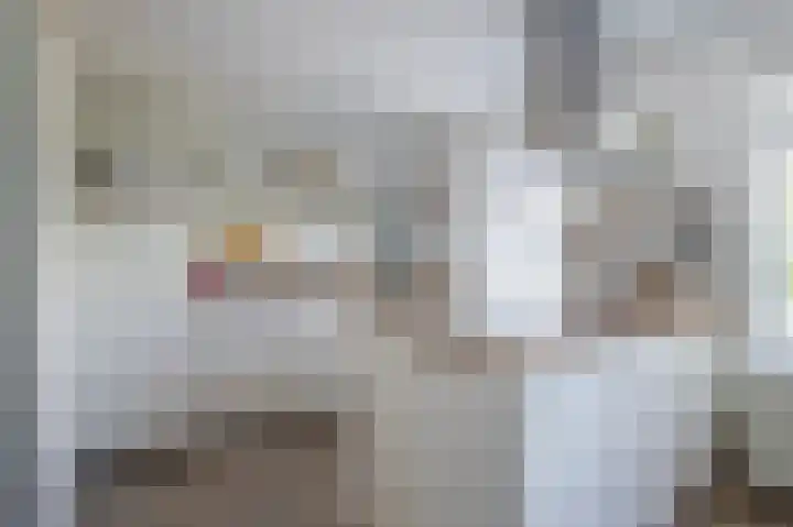 Zilvermeeuw 31 Lathum thumbnail 13