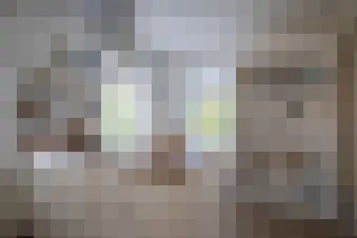 Zilvermeeuw 31 Lathum thumbnail 15