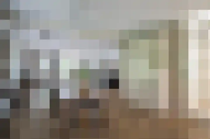 Zilvermeeuw 31 Lathum thumbnail 16