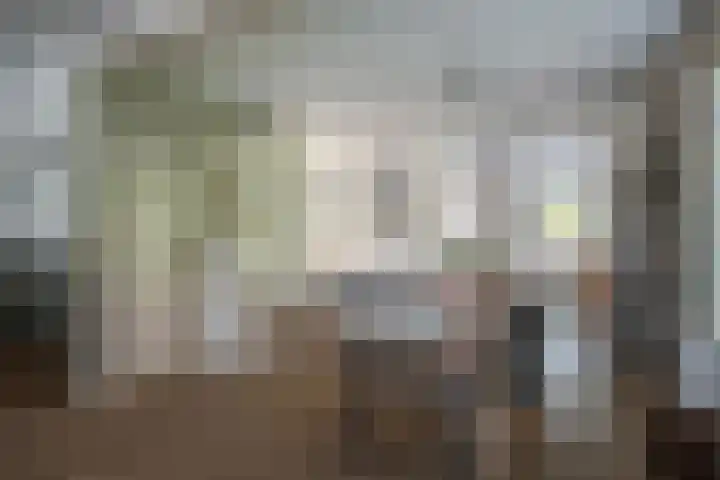 Zilvermeeuw 31 Lathum thumbnail 17