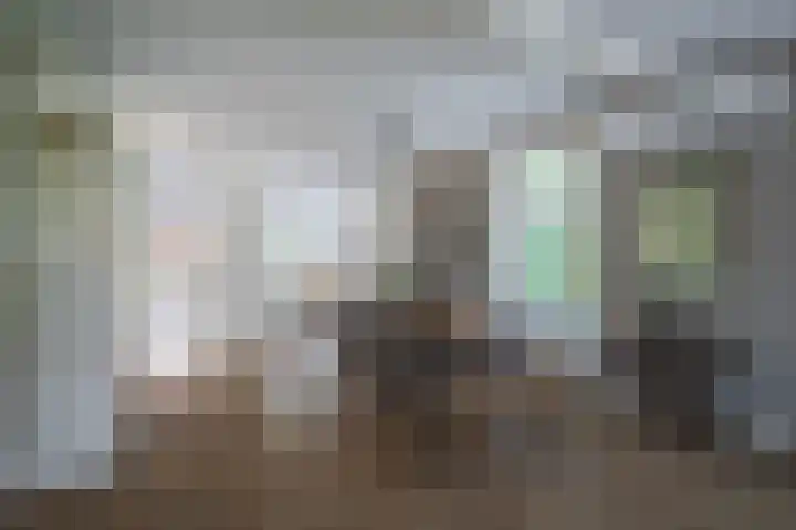 Zilvermeeuw 31 Lathum thumbnail 18