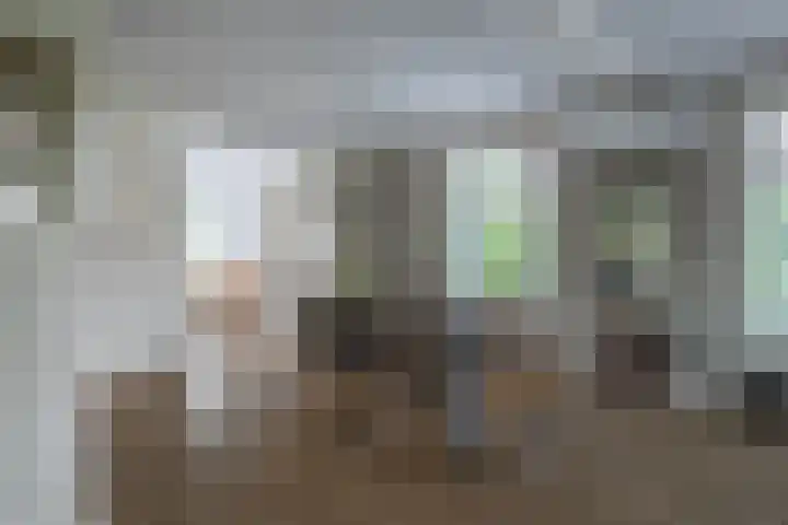 Zilvermeeuw 31 Lathum thumbnail 19