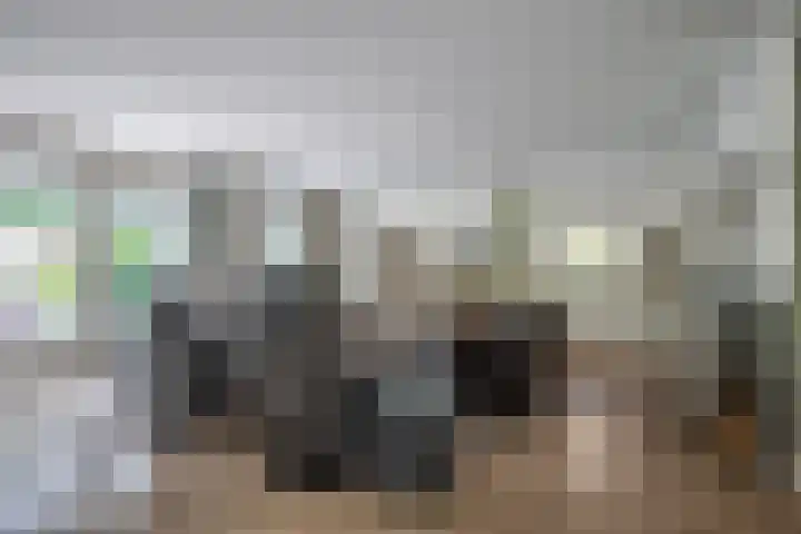 Zilvermeeuw 31 Lathum thumbnail 20